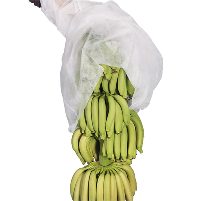 17gram เกษตรไม่ทอปก UV นอนวูฟเวนกล้วยถุงตัด 100 ชิ้นต่อถุงพลาสติก