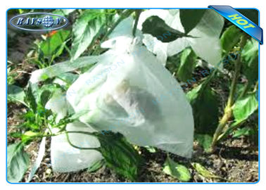พืชไร่ปลอดสารพิษปลูกถุงสำหรับการเจริญเติบโตของผลไม้และการคุ้มครองถุงมันฝรั่ง Grow