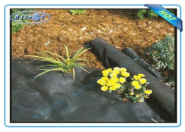 Anti UV Agriculture Non Woen Cover ผ้าควบคุมวัชพืช