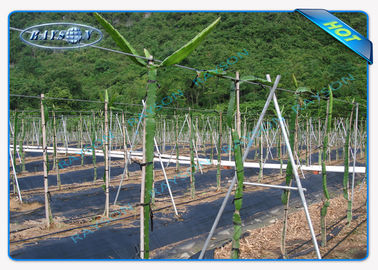 Enviro Anti UV Polypropylene Garden ผ้าควบคุมวัชพืช / พรมสำหรับภูมิทัศน์