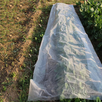 Mulching Film เกษตรผ้านอนวูฟเวน PP Spunbond สำหรับดอกไม้ Tomatos