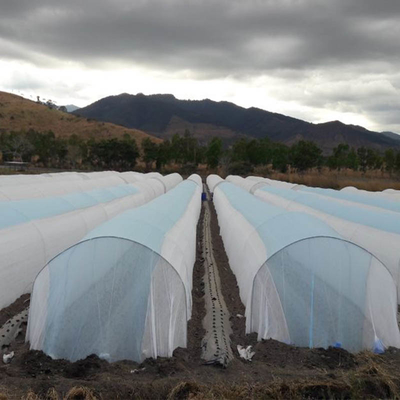 ย้อมผ้าลายเกษตร Non Woven Cover Virgin Spnbond Macro Tunel กว้าง 6.4m