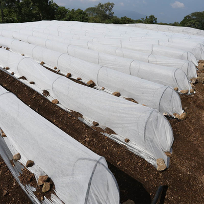 Anti Uv 420cm กว้างเกษตรผ้านอนวูฟเวนสำหรับผัก